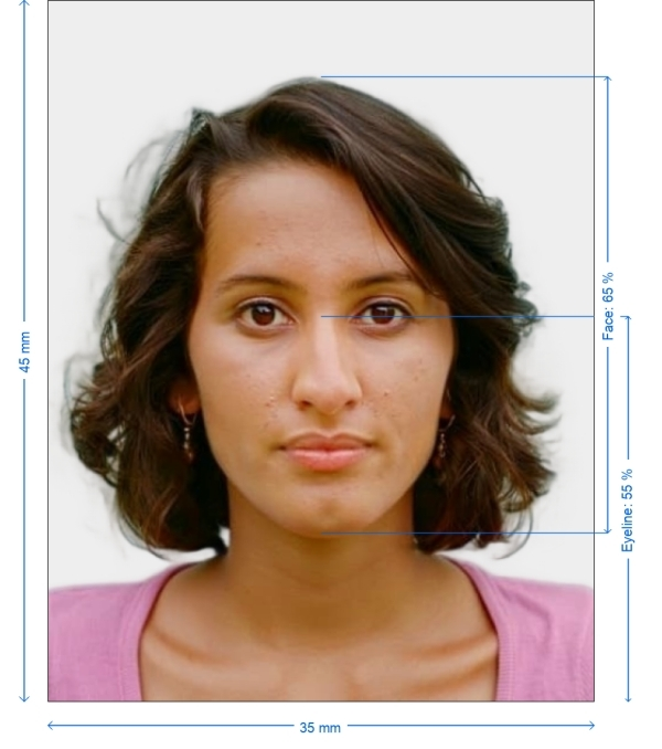 New Zealand Passport Offline New Zealand Passport Offline